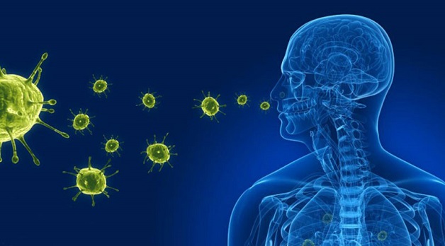 Viêm phế quản do các vi khuẩn và virus gây ra