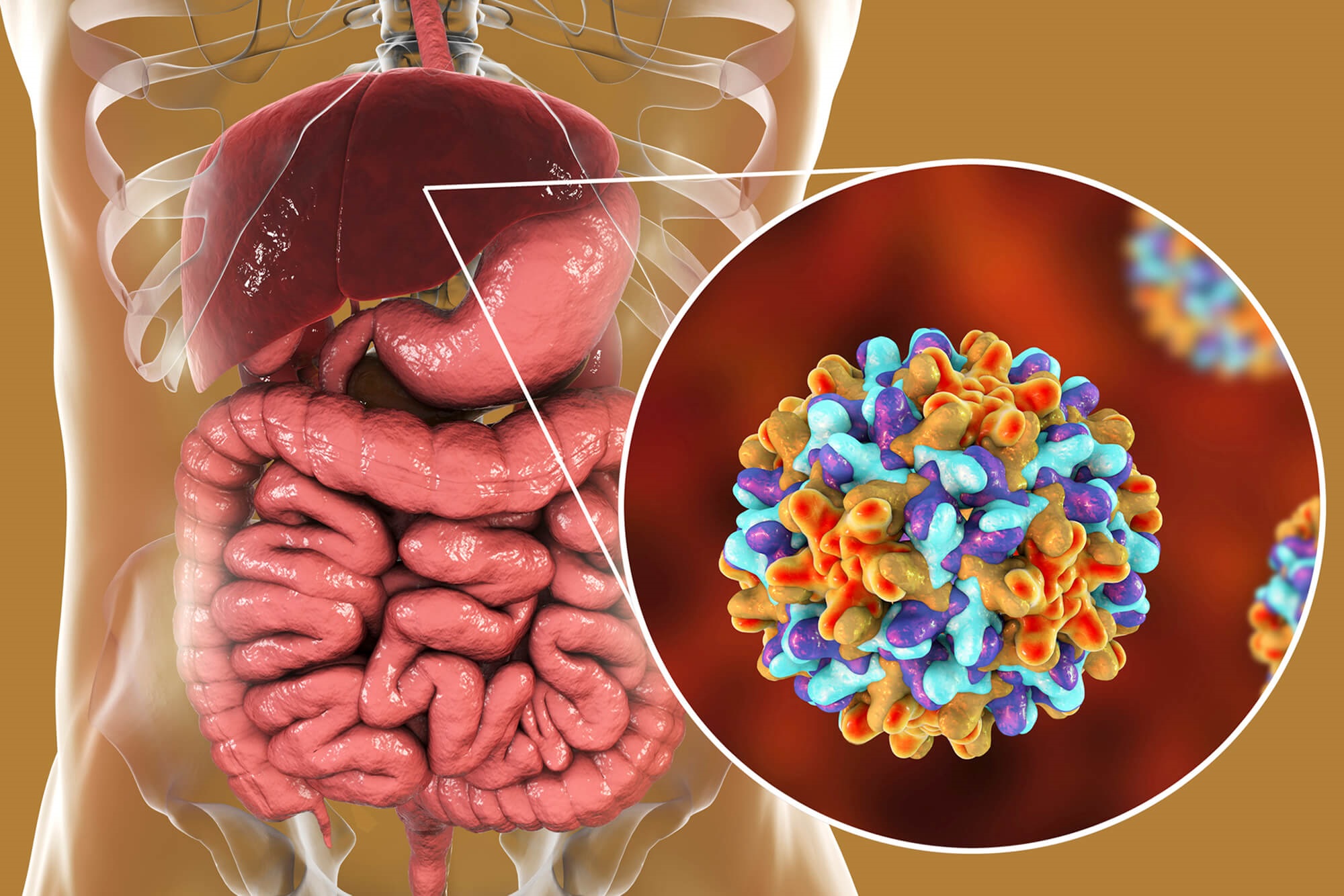 Theo thống kê của Tổ chức Y tế Thế giới, Việt Nam ghi nhận tỷ lệ nhiễm virus viêm gan ở mức cao