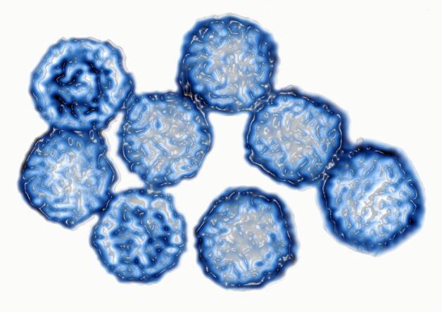 Sốt virus ở trẻ nhỏ có thể phát sinh do nhiều loại virus.