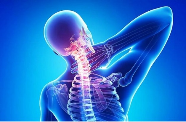Cấu tạo đốt sống cổ