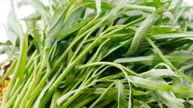 Tác dụng của rau muống với bệnh trĩ