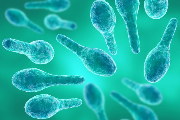 Tiêm phòng uốn ván giúp ngăn chặn vi khuẩn Clostridium tetani phát triển từ vết thương hoặc cắt rạn nhỏ, khiến vi khuẩn có cơ hội xâm nhập vào cơ thể.