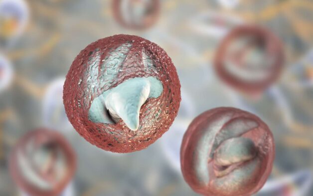 Cryptosporidium thường liên quan đến nước sinh hoạt.