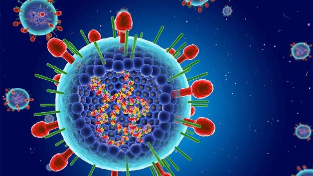 Virus RSV hiện là nguyên nhân phổ biến nhất gây viêm tiểu phế quản ở trẻ