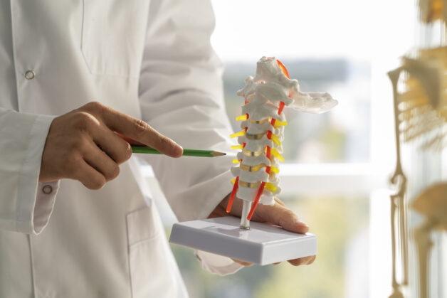 Thoái hóa đốt sống là tình trạng lớp sụn khớp bị hao mòn.