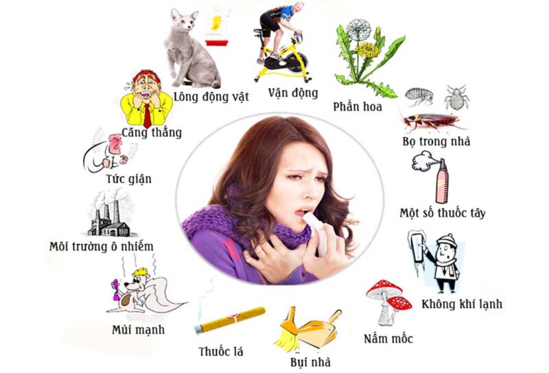 Người bị hen suyễn cần tránh tiếp xúc với các yếu tố gây kích ứng như phấn hoa, khói bụi, lông động vật và nấm mốc.