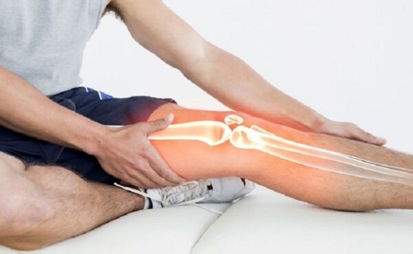 Cấu trúc xương của khớp gối