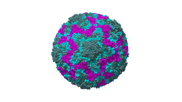 Tay chân miệng là bệnh truyền nhiễm do Enterovirus gây ra.
