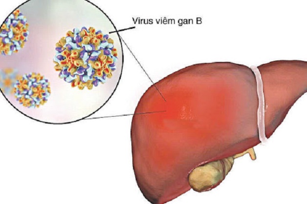 vắc xin viêm gan B có mấy loại