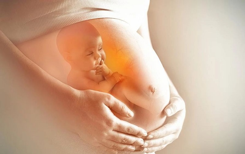 Có sức khỏe tốt trong thời gian mang thai góp phần quan trọng trong sự phát triển của trẻ