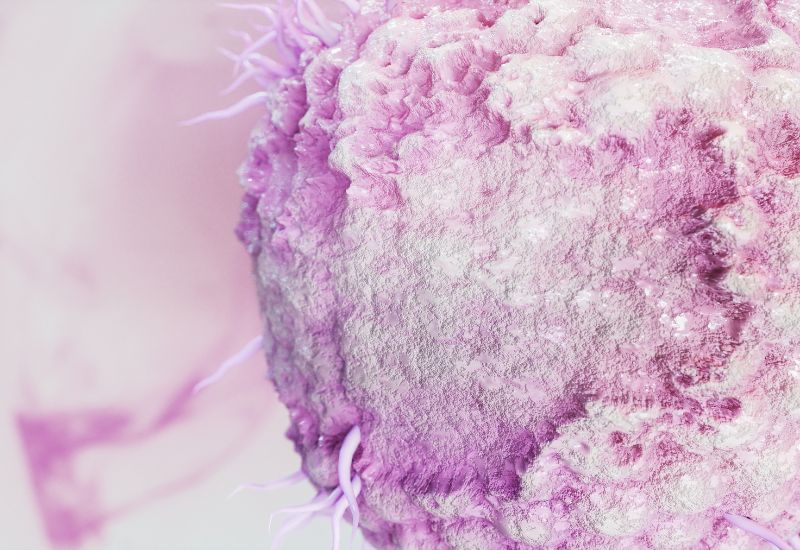 Một trong những virus gây viêm kết mạc là Varicella-zoster virus (VZV) (gây thủy đậu và sau đó là Zona thần kinh, đau mắt đỏ có thể chỉ là triệu chứng của những bệnh truyền nhiễm cấp tính đó)