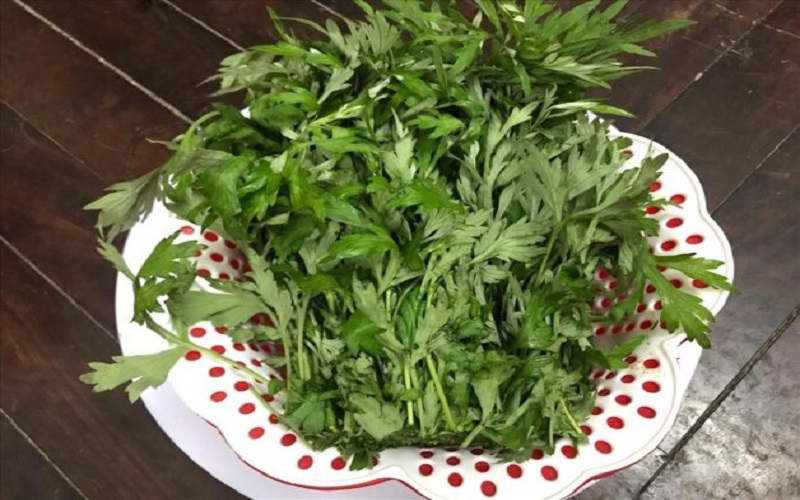 Hình ảnh lá ngải
