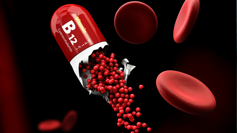 Thiếu vitamin B12 gây thiếu máu