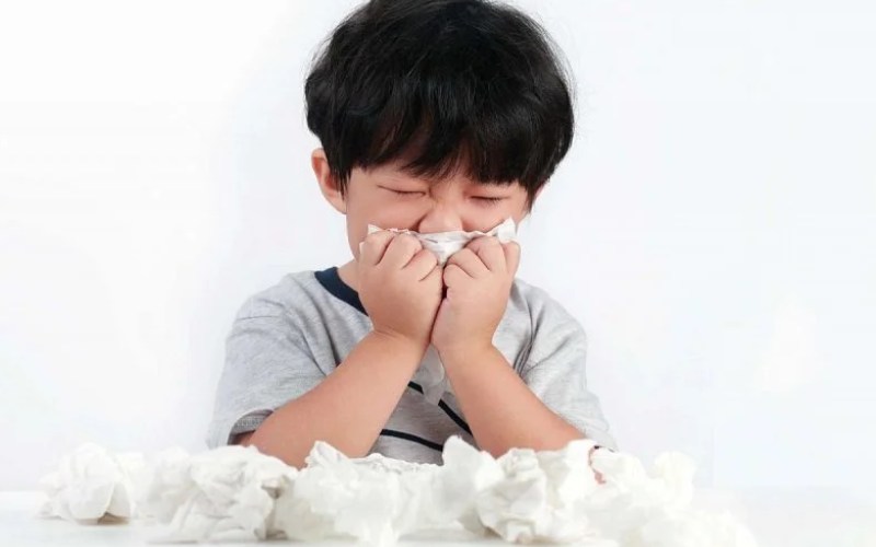 viêm mũi dị ứng ở trẻ