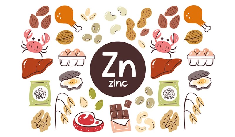 Nên bổ sung kẽm (zinc) vào cơ thể như thế nào cho phù hợp?