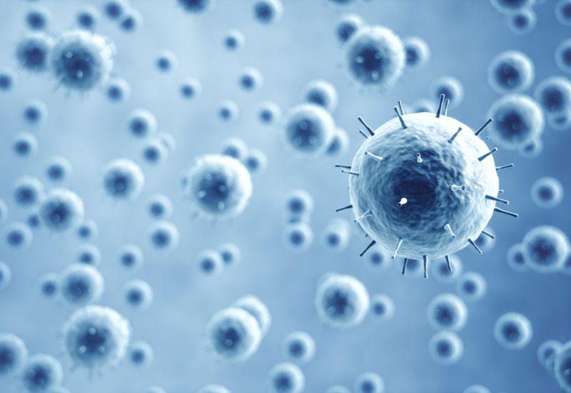 Virus, vi khuẩn là nguyên nhân phổ biến nhất gây viêm phế quản cấp tính ở trẻ em.