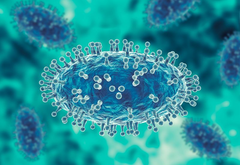Virus variola là nguyên nhân trực tiếp gây đậu mùa.