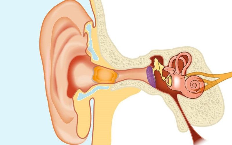 Mắc dị vật tai
