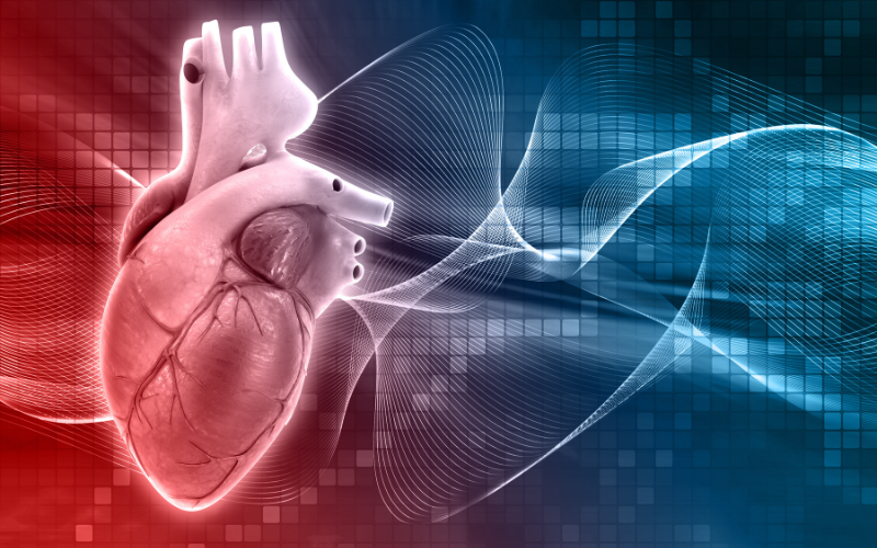 Block nhánh trái (LBBB) nghĩa là sự ngưng dẫn truyền một hoặc toàn phần tín hiệu điện tim.
