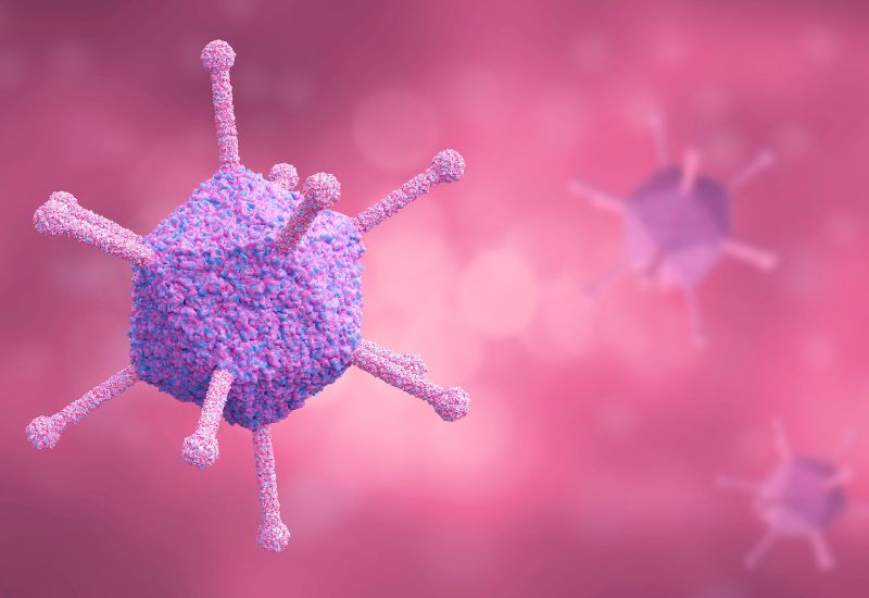 Adenovirus là nguyên nhân gây viêm kết mạc phổ biến nhất thuộc nhóm nguyên nhân virus.