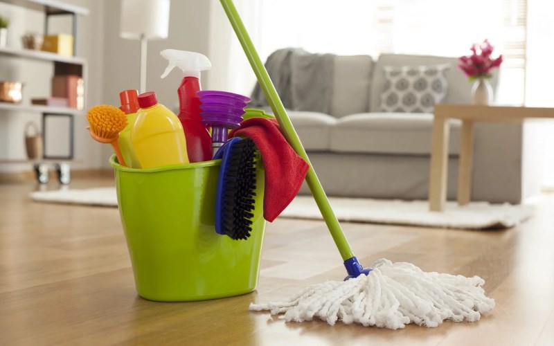 phòng ngừa kiến ba khoang đốt