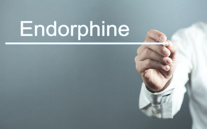 Một số nghiên cứu cho thấy endorphin có thể giúp chống lại ung thư bằng cách tăng cường hệ miễn dịch và tiêu diệt tế bào ung thư.