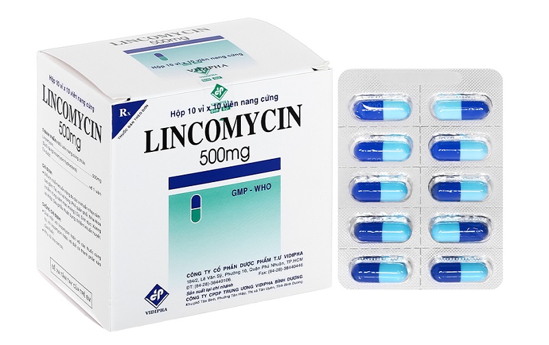 Lincomycin được chỉ định trong trường hợp nào?