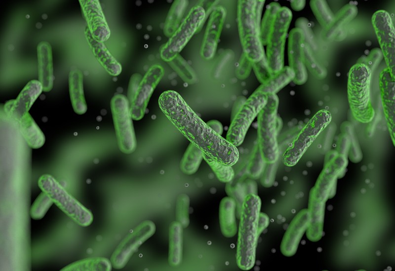 Vi khuẩn, virus, ký sinh trùng có thể gây nhiễm trùng đường tiêu hóa, dẫn đến tiêu chảy, buồn nôn và nôn.