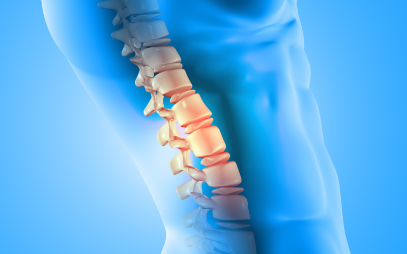 Vị trí L4 L5 vùng cột sống thắt lưng rất dễ bị thoái hóa.