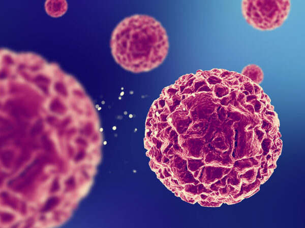 Virus HPV là “thủ phạm” của nhiều bệnh đường sinh dục.