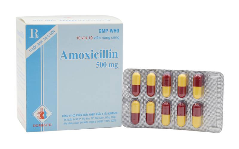 Thuốc kháng sinh Amoxicillin chữa viêm họng hạt phổ biến hiện nay
