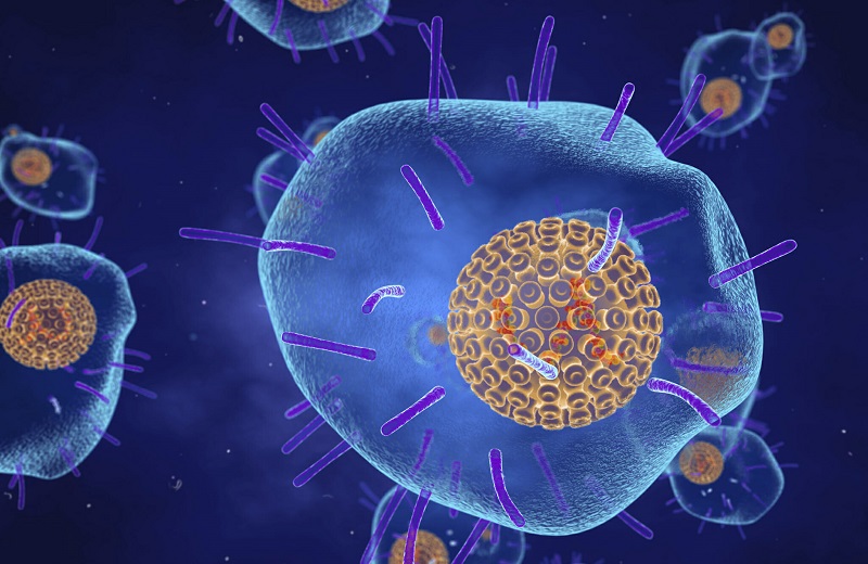 Mô phỏng hình ảnh virus VZV gây bệnh thủy đậu