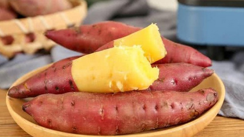 Vì sao ăn khoai lang bị ợ chua?
