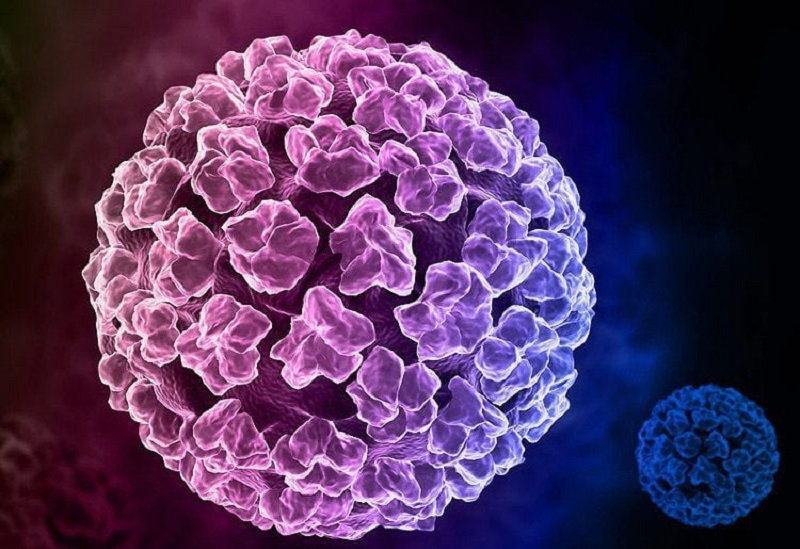 virus HPV