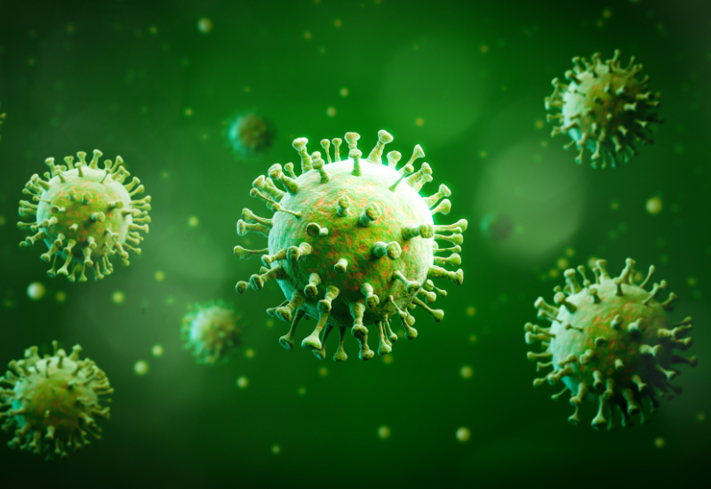 Rotavirus tấn công niêm mạc ruột non, gây viêm và phá hủy các tế bào ruột, dẫn đến tiêu chảy nghiêm trọng kèm theo nôn và sốt cao.