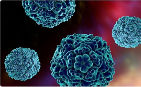 Enterovirus là nguyên nhân gây nên bệnh chân tay miệng