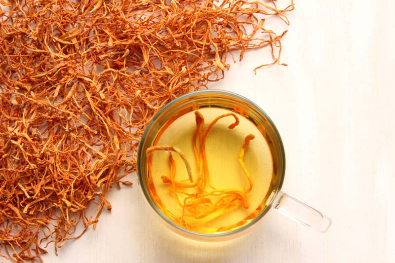 Ngoài đông trùng hạ thảo thiên nhiên, nó còn được nuôi cấy để đảm bảo nhu cầu người sử dụng.