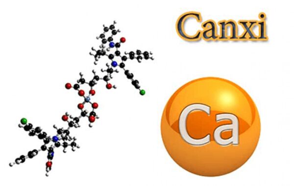 Canxi không chỉ là một khoáng chất mà còn đóng vai trò rất quan trọng đối với sức khỏe.