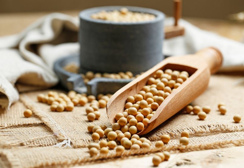 Protein là gì? Protein thực vật thường ít chất béo bão hòa và giàu chất xơ, giúp cải thiện tiêu hóa và giảm nguy cơ mắc các bệnh mãn tính.