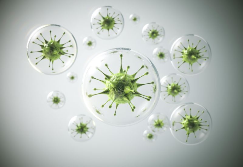 Đối với một số bệnh truyền nhiễm, như cúm, virus có thể thay đổi hình dạng (đột biến) theo thời gian.