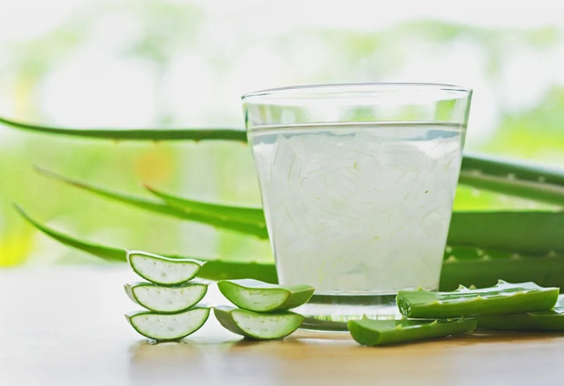 công dụng của cây nha đam