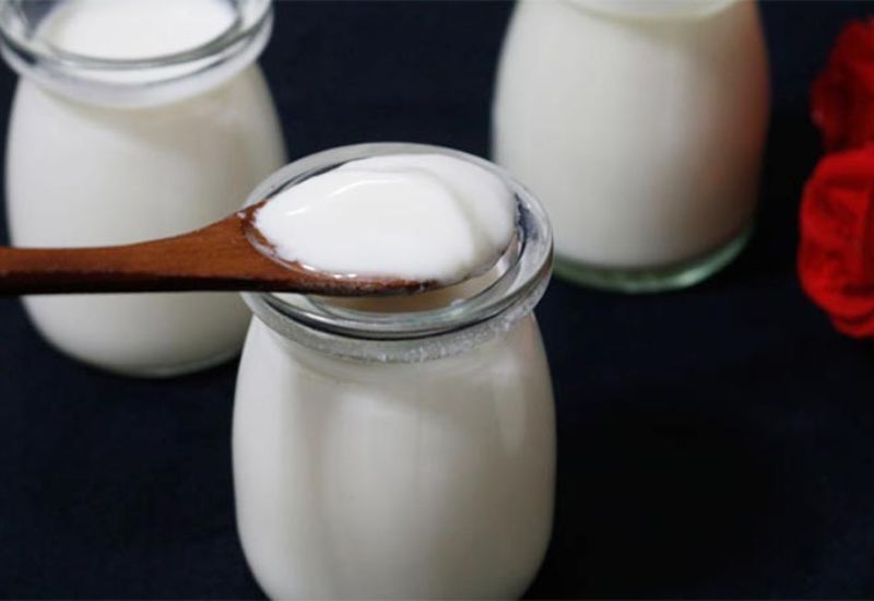 Trào ngược dạ dày có nên ăn sữa chua không