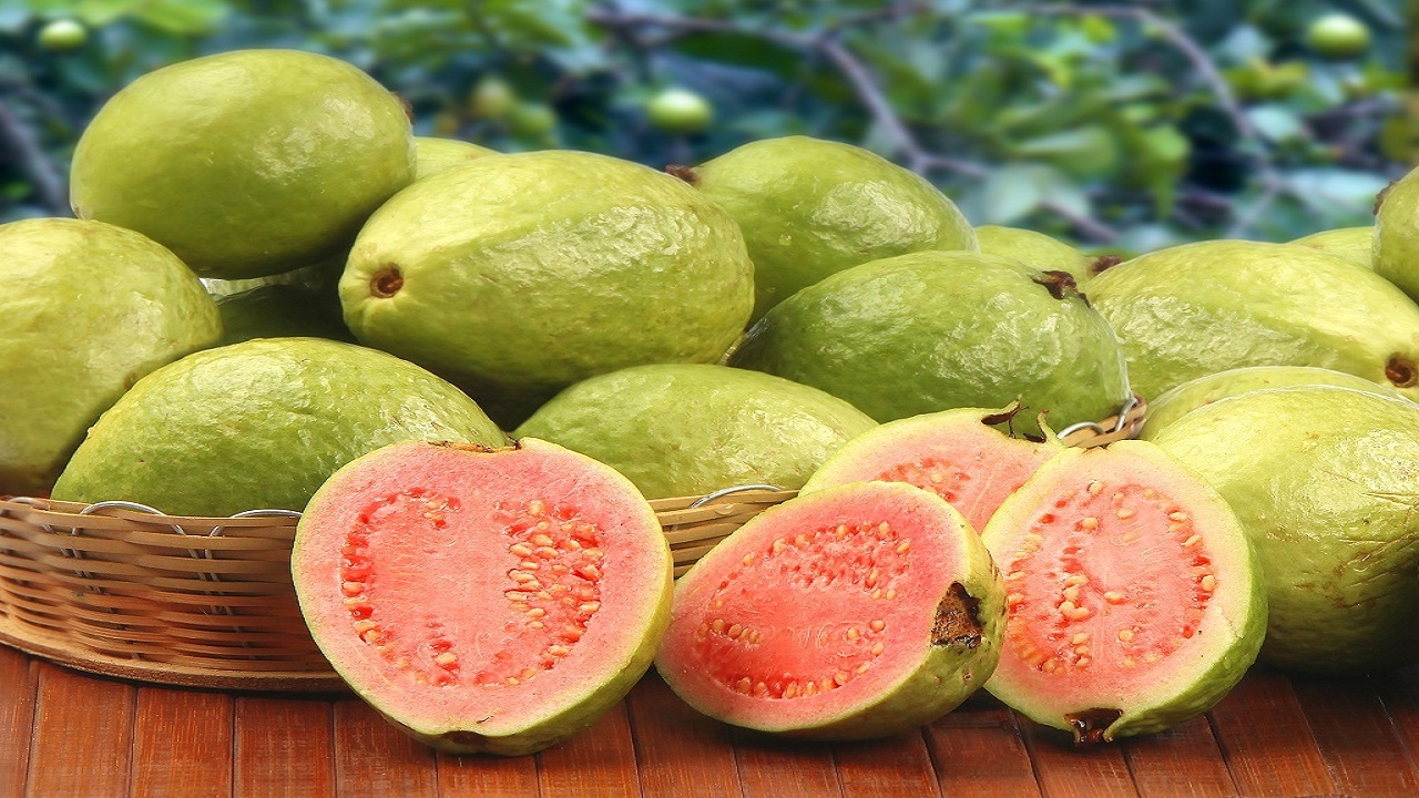 Bệnh trĩ ăn ổi được không