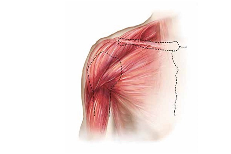 Chấn thương ngực cũng là một trong những nguyên nhân dẫn đến suy phổi 