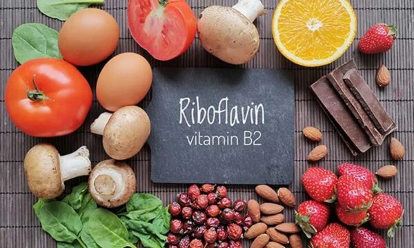 Vitamin B2 là một trong những vitamin thuộc nhóm B, có vai trò quan trọng trong việc chuyển hóa năng lượng và duy trì chức năng của nhiều hệ cơ quan.