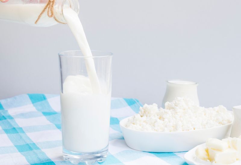 Sữa tươi nguyên chất, không chứa chất bảo quản và có lượng đường lactose đầy đủ sẽ cung cấp dinh dưỡng tốt cho lợi khuẩn phát triển.