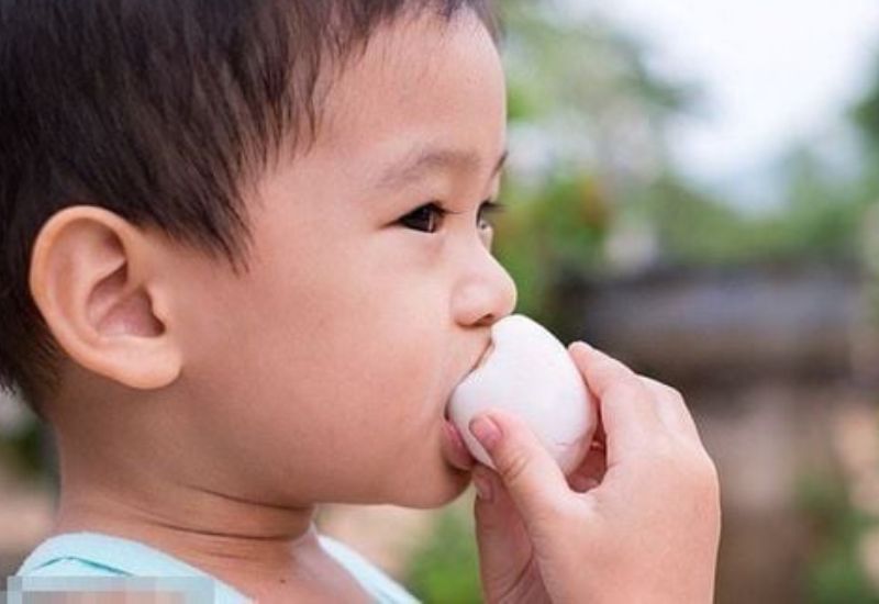 Trứng gà cho bé nên được chọn từ nguồn cung uy tín, có kiểm định chất lượng rõ ràng.