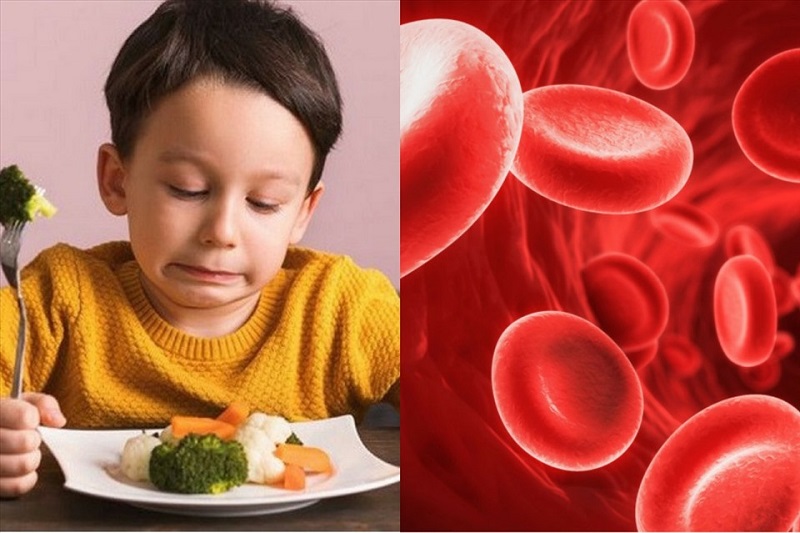 trẻ thiếu máu nên ăn gì - dấu hiệu thiếu máu