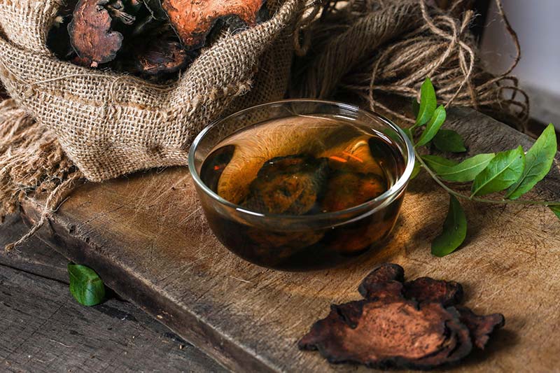 Hà thủ ô và lưu ý khi dùng cho người huyết áp thấp