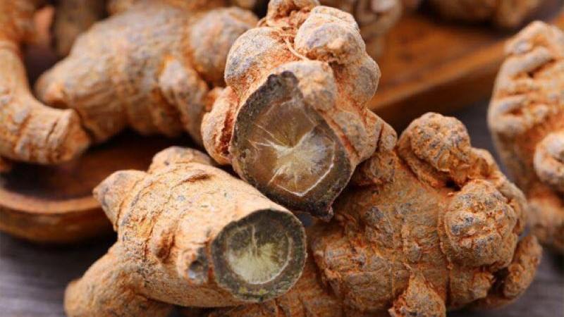 huyết áp thấp có uống được tam thất không